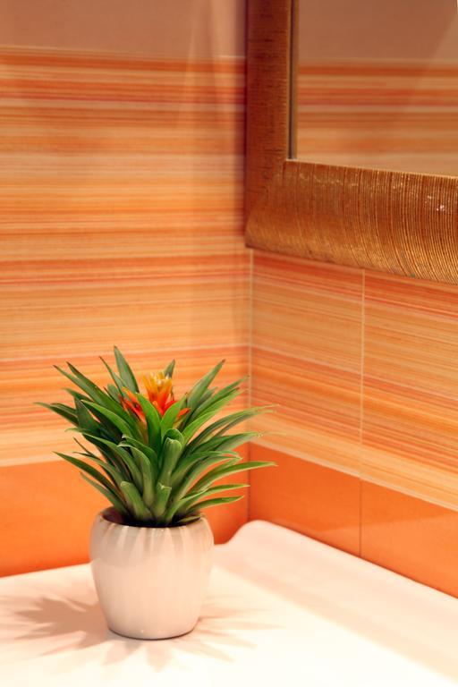Serena Srl Hotel Roma